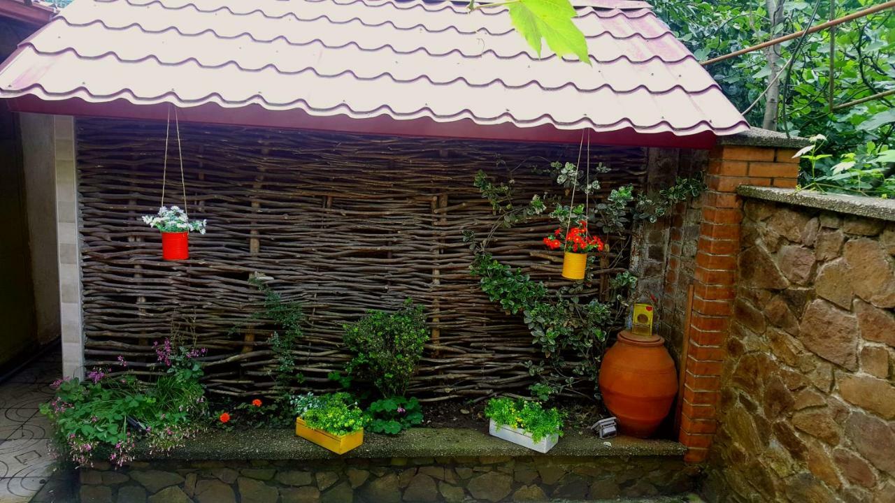 Green House In Μπατούμι Εξωτερικό φωτογραφία